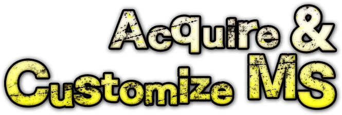 Acquire & Customize MS